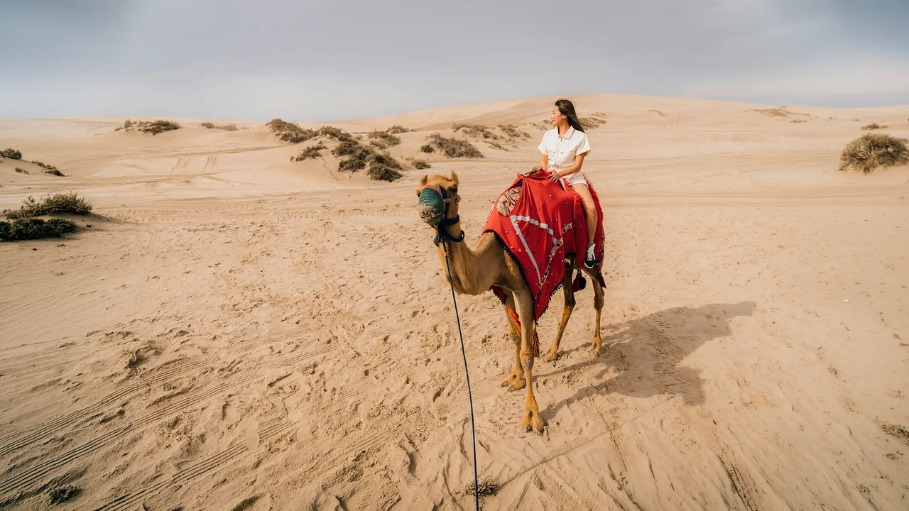 A tourist riding a camel across the rolling sand dunes of the Qatari desert.